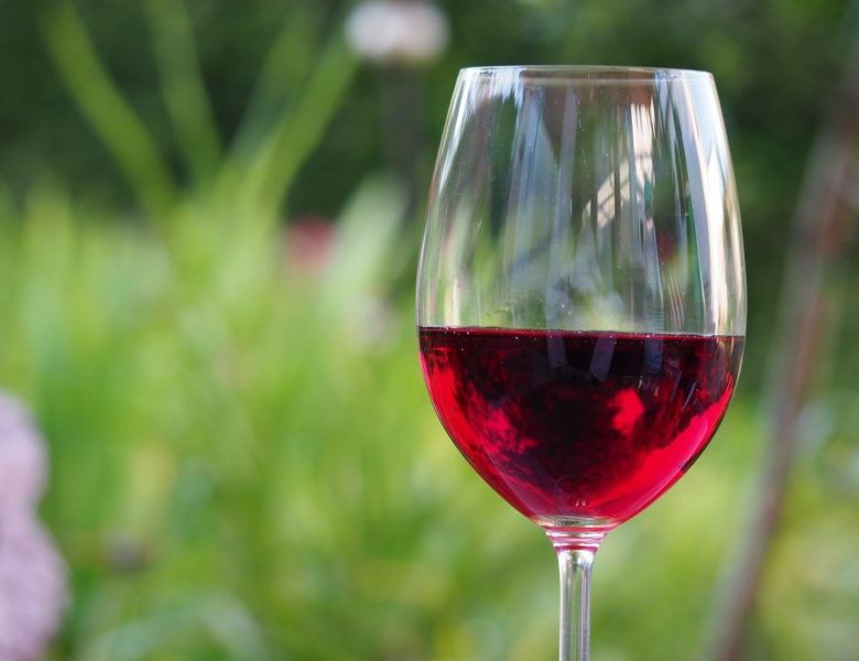 Fieragricola: l’Italia agricola in mostra