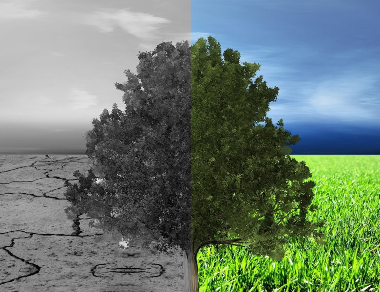 Come il riscaldamento globale sta mettendo a rischio i vini italiani