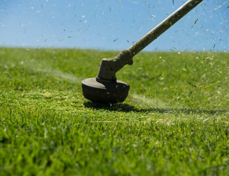 Cos’è un decespugliatore e a cosa serve