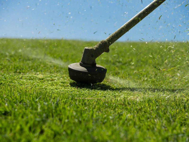 Cos’è un decespugliatore e a cosa serve