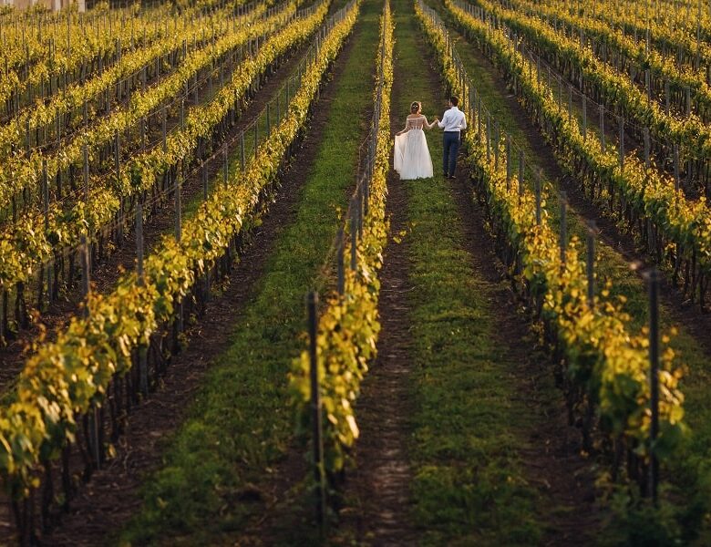 Dormire tra le vigne per un weekend romantico