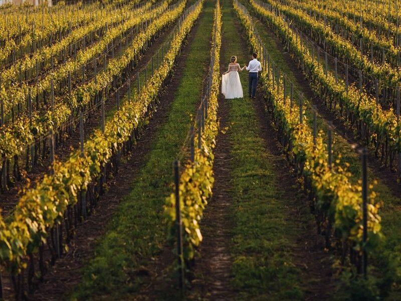 Dormire tra le vigne per un weekend romantico
