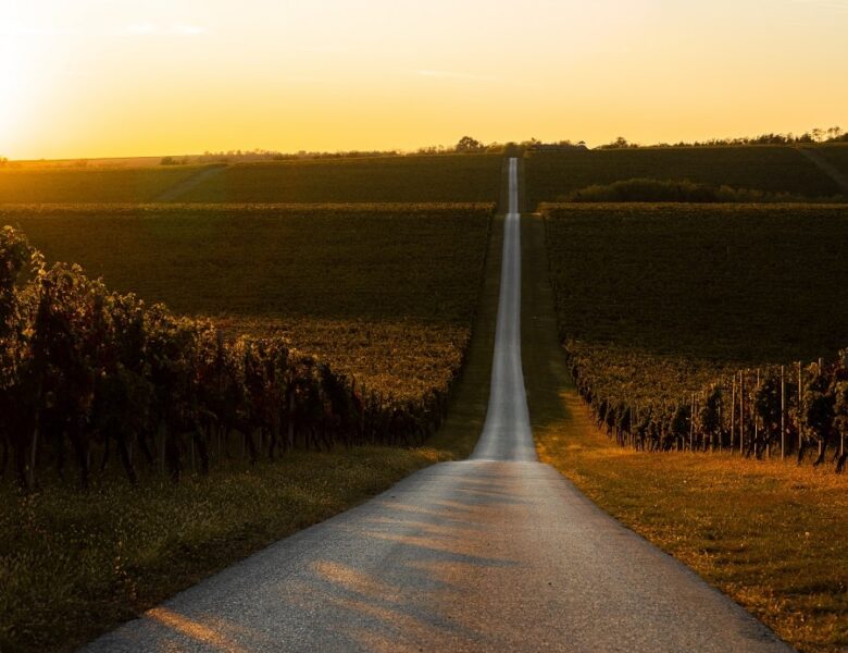 Le 5 strade del vino più belle d’Italia