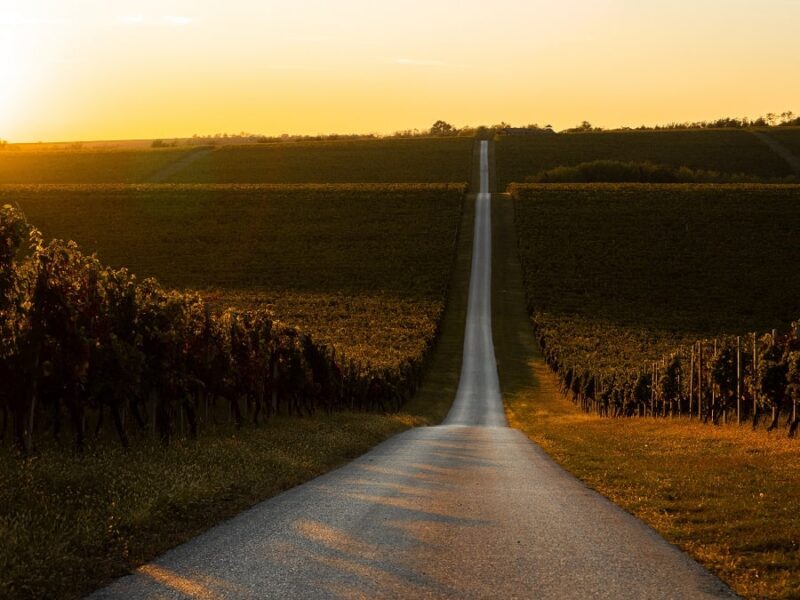 Le 5 strade del vino più belle d’Italia