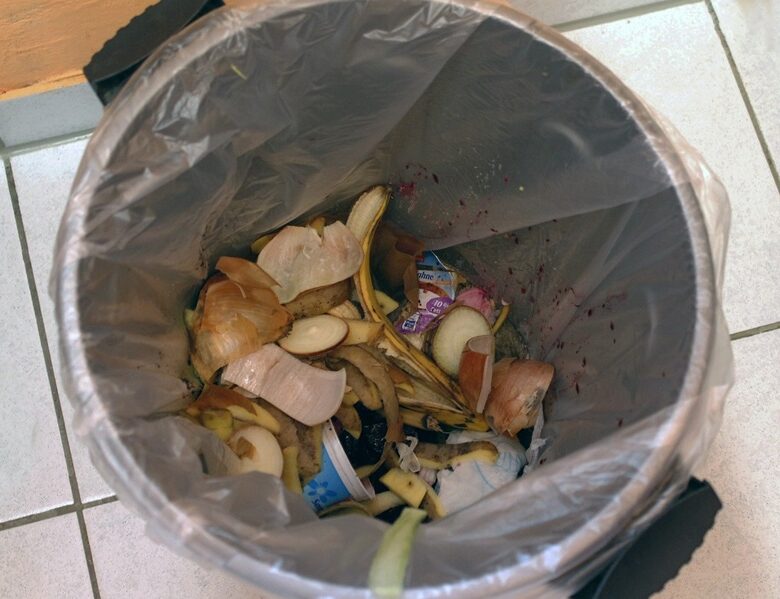 Pattumiera che puzza: come eliminare il cattivo odore?